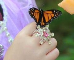Join SFA Gardens for its annual Little Princess Tea Party at 10 a.m. and 1 p.m. on March 30. Attendees will meet butterflies, build a fairy garden and learn about “The Brave Heart of a Princess” during the event.