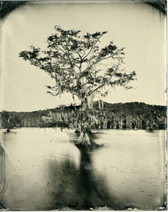 Dr. Bill Nieberding's Caddo Lake tintype is among the artist's works featured his exhibition "East Texas: A Portrait in Wet-Plate Collodion" showing Oct. 1 through Nov. 6 at Panola College.
