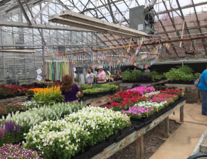 Stephen F. Austin State University's horticulture program will host the annual Spring Plant Fair from 5 to 8 p.m. Thursday, April 21, at the SFA Plantery, located at 1924 Wilson Drive.