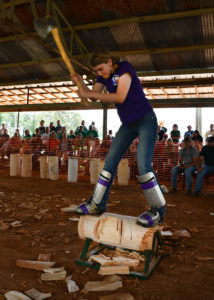 Stephen F. Austin State University's timbersports team, the Sylvans, won its fourth consecutive collegiate title at the Louisiana Forest Festival's timbersports competition held in Winnfield, Louisiana. Established in 1979, the Louisiana Forest Festival celebrates the timber industry's contributions to the state. Pictured, SFA's Paige Sumner competes in the women's log chopping competition.