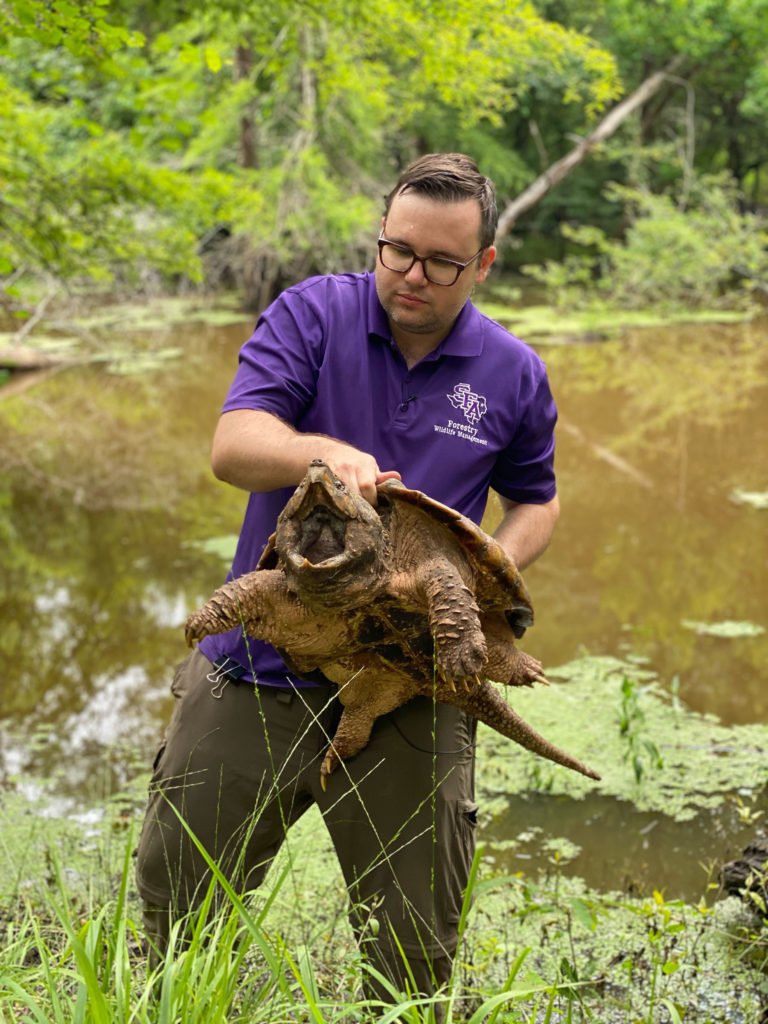 SFA researchers assist in multi-agency effort to return alligator ...